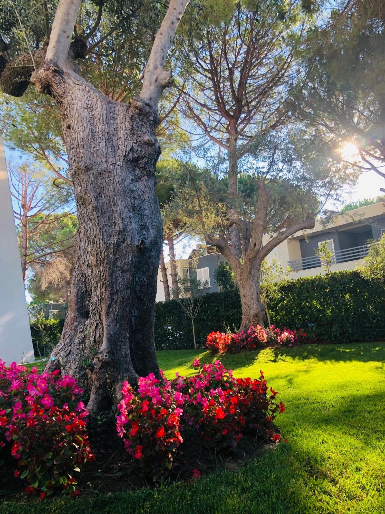 Neziri Villa *