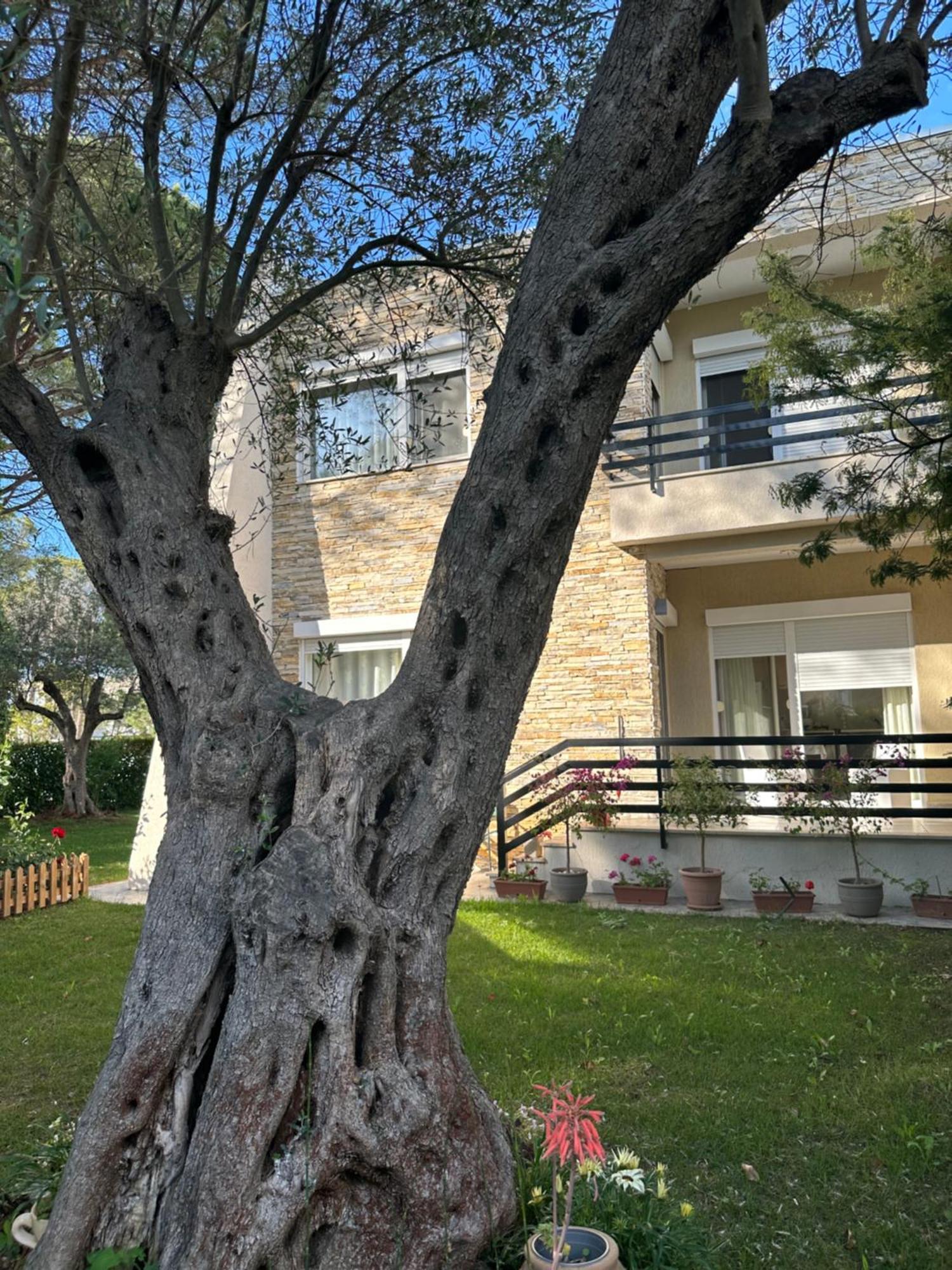 Neziri Villa *